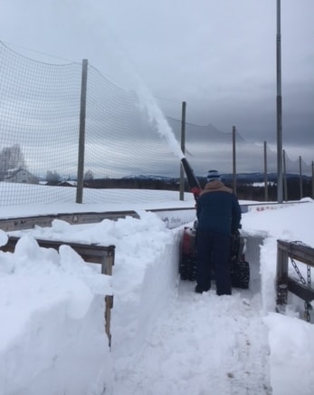 Hvor er våren?